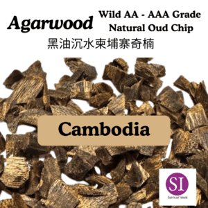 Wild Agarwood Cambodia 100% Grade AAA-AA Grade Wood Chips