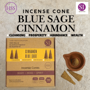 Blue Sage Cinnamon Incense Cones 100% Pure, Clear Unwanted Energy, Promote Healing & Comfort