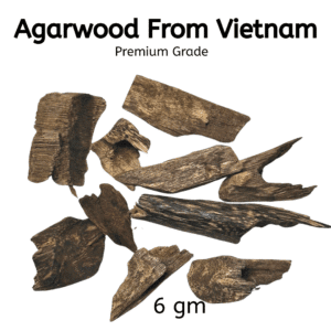 Agarwood Chips From Vietnam Premium Grade Use for Incense Burning