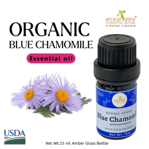 Chamomile, Blue (German) Essential Oil