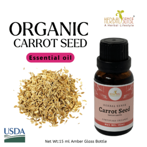 Carrot Seed Essential Oil