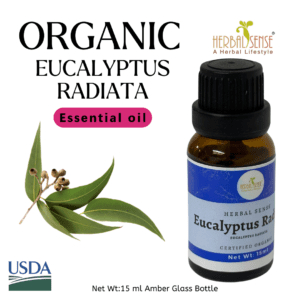 Eucalyptus Radiata Essential Oil