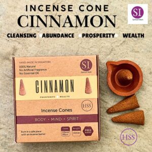 HSS Cinnamon Incense Cones
