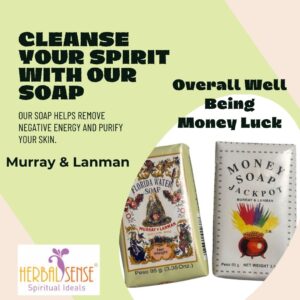 Florida Water Spiritual and Money Soap Bar 95 gm