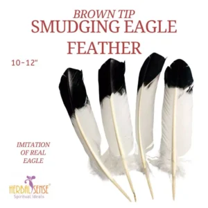 SI Brown Tip - Smudging Eagle Feather 10-12" Imitation Of Real Eagle Feather Use for Smudging Cleansing Negative Energy